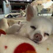 ヒメ日記 2026/04/28 14:00 投稿 なつみ Beppin house