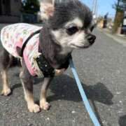 ヒメ日記 2026/04/29 12:56 投稿 なつみ Beppin house