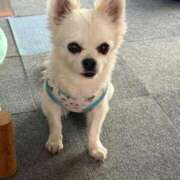 ヒメ日記 2026/04/30 13:50 投稿 なつみ Beppin house