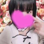 ヒメ日記 2025/12/30 08:16 投稿 こまち ナチュラルプリンセス