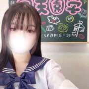 ヒメ日記 2026/01/17 17:44 投稿 さくら(また会いたくなる) 学園天国