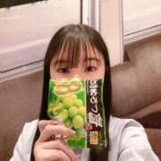 ヒメ日記 2026/02/28 16:28 投稿 さくら(また会いたくなる) 学園天国