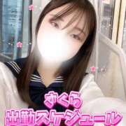 ヒメ日記 2026/06/10 18:21 投稿 さくら(また会いたくなる) 学園天国