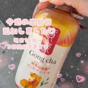 ヒメ日記 2026/02/17 15:42 投稿 やん スピード梅田店