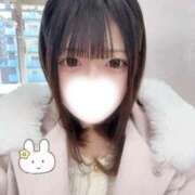 ヒメ日記 2025/12/31 18:40 投稿 うさ Seirenes (セイレネス)