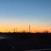 ヒメ日記 2026/01/02 20:02 投稿 うさ Seirenes (セイレネス)