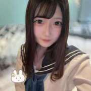 ヒメ日記 2026/01/24 11:22 投稿 うさ Seirenes (セイレネス)