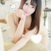 ヒメ日記 2026/01/31 13:42 投稿 うさ Seirenes (セイレネス)