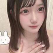 ヒメ日記 2026/02/04 09:52 投稿 うさ Seirenes (セイレネス)