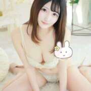 うさ 本日出勤です❣️ Seirenes (セイレネス)