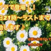ヒメ日記 2026/03/21 20:10 投稿 かんな 東京リップ 立川店