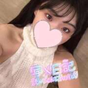 ヒメ日記 2025/12/31 08:17 投稿 夏目あかり 五反田ウルトラファンタジー