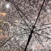 ヒメ日記 2026/01/02 19:55 投稿 みずき ぽっちゃり巨乳素人専門店ぷにめろ渋谷店