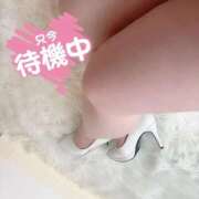 ヒメ日記 2026/01/28 23:25 投稿 みずき ぽっちゃり巨乳素人専門店ぷにめろ渋谷店