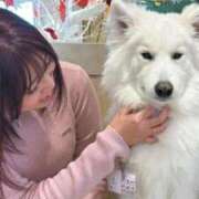 ヒメ日記 2026/02/16 17:01 投稿 歌奈【かな】 ギャルズネットワークネクスト 京都