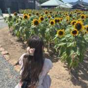 ヒメ日記 2026/08/18 19:11 投稿 歌奈【かな】 ギャルズネットワークネクスト 京都