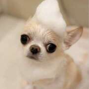 ヒメ日記 2026/01/22 17:17 投稿 から 東京人妻セレブリティ（ユメオト）