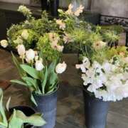 ヒメ日記 2026/01/25 07:04 投稿 から 東京人妻セレブリティ（ユメオト）