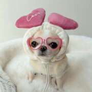 ヒメ日記 2026/02/14 19:06 投稿 から 東京人妻セレブリティ（ユメオト）