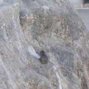 ヒメ日記 2026/03/23 14:40 投稿 から 東京人妻セレブリティ（ユメオト）