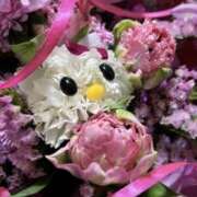 ヒメ日記 2026/04/16 19:40 投稿 から 東京人妻セレブリティ（ユメオト）