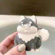 ヒメ日記 2026/01/06 01:16 投稿 ワカナ ラブコレクション