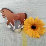 ヒメ日記 2026/01/09 13:56 投稿 小雪 セクシーキャット 小田原店