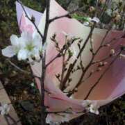 ヒメ日記 2026/01/17 21:05 投稿 小雪 セクシーキャット 小田原店