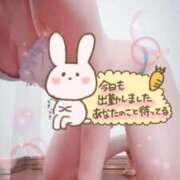 ヒメ日記 2026/02/07 12:03 投稿 せりか【超特価】 恵比寿コレクション　久留米本店