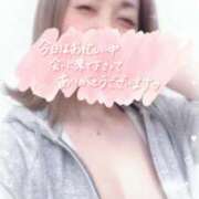 ヒメ日記 2026/02/08 03:23 投稿 せりか【超特価】 恵比寿コレクション　久留米本店