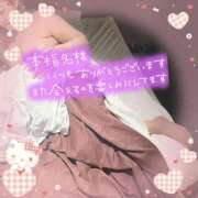 せりか【超特価】 お礼💌💐 恵比寿コレクション　久留米本店