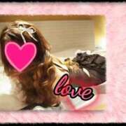 ヒメ日記 2026/02/04 00:07 投稿 はな【特価】 恵比寿コレクション　久留米本店