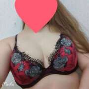 ヒメ日記 2026/02/11 14:15 投稿 まいか【特価】 恵比寿コレクション　久留米本店