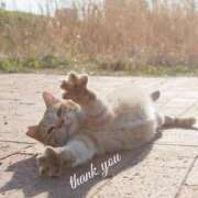 ヒメ日記 2026/02/05 15:13 投稿 まお【特価】 恵比寿コレクション　久留米本店