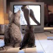 まお【特価】 ありがとう 恵比寿コレクション　久留米本店