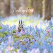 まお【特価】 ありがとう 恵比寿コレクション　久留米本店