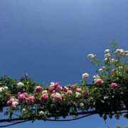 ヒメ日記 2026/01/05 09:43 投稿 まりこ【特価】 恵比寿コレクション　久留米本店