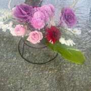 ヒメ日記 2026/01/09 12:23 投稿 まりこ【特価】 恵比寿コレクション　久留米本店