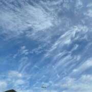 ヒメ日記 2026/01/12 03:53 投稿 まりこ【特価】 恵比寿コレクション　久留米本店