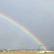 ヒメ日記 2026/01/16 02:33 投稿 まりこ【特価】 恵比寿コレクション　久留米本店