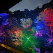 ヒメ日記 2026/01/16 20:53 投稿 まりこ【特価】 恵比寿コレクション　久留米本店