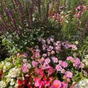 まりこ【特価】 2月15日日曜日🩷お礼です🩷 恵比寿コレクション　久留米本店