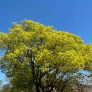 まりこ【特価】 2月22日日曜日のお礼です❤️ 恵比寿コレクション　久留米本店