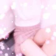 わか【超特価】 なぜだろ 恵比寿コレクション　久留米本店