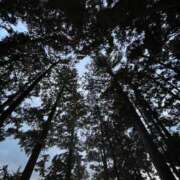 ヒメ日記 2026/02/15 06:55 投稿 水野 BBW横浜店