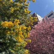 ヒメ日記 2026/03/09 15:17 投稿 さえは ハピネス東京