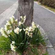 ヒメ日記 2026/03/07 12:03 投稿 しょうこ 熟女22時