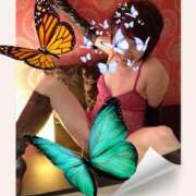 ヒメ日記 2026/03/09 12:21 投稿 しょうこ 熟女22時