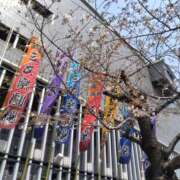 ヒメ日記 2026/03/30 12:59 投稿 しょうこ 熟女22時