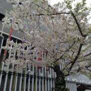 ヒメ日記 2026/04/04 14:14 投稿 しょうこ 熟女22時